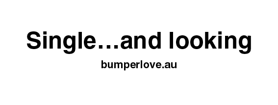 single and looking bumper stickers